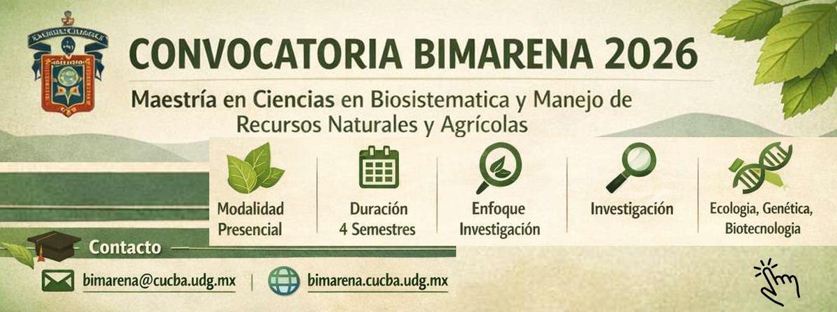 convocatoria 2026